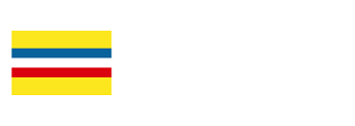 中國青年黨全球資訊網